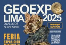 !1ra. edición GEOEXPO LIMA 2025! – FERIA EXPOSICÍON – Local SGP / 26 al 30 noviembre, 10:00 a.m. a 8:00 p.m.