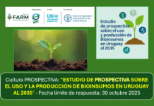 Cultura PROSPECTIVA: “ESTUDIO DE PROSPECTIVA SOBRE EL USO Y LA PRODUCCIÓN DE BIOINSUMOS EN URUGUAY AL 2035” – Fecha límite de respuesta: 30 octubre 2025.