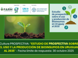 Cultura PROSPECTIVA: “ESTUDIO DE PROSPECTIVA SOBRE EL USO Y LA PRODUCCIÓN DE BIOINSUMOS EN URUGUAY AL 2035” – Fecha límite de respuesta: 30 octubre 2025.
