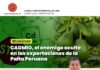 Webinar: “CADMIO, el enemigo oculto en las exportaciones de la Palta Peruana” / 24 abril; 17:00 – 19:00 hrs (Hora Perú).