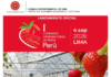 Lanzamiento del I Congreso Internacional de Fresa – Perú 2026 – Sala 4 – CIP Lima / 21 julio; 7:00 p.m.