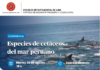 Conferencia: “ESPECIES DE CETÁCEOS DEL MAR PERUANO” – Sala Escalonada / 25 de agosto | 19 h.